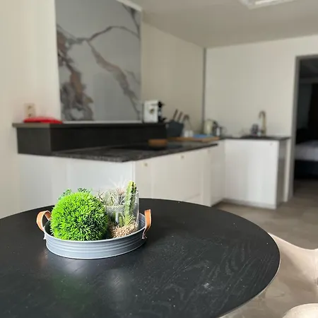 Apartment 8z Dreamz 3
